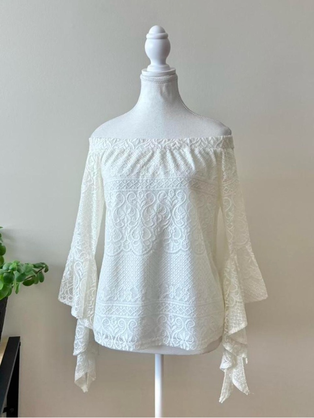 Off-Shoulder Lace Long Sleeve Top